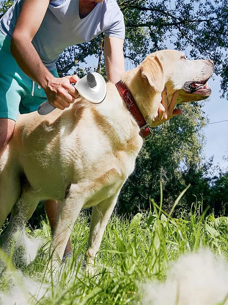 Pente Removedor de pelo para gato e cachorro